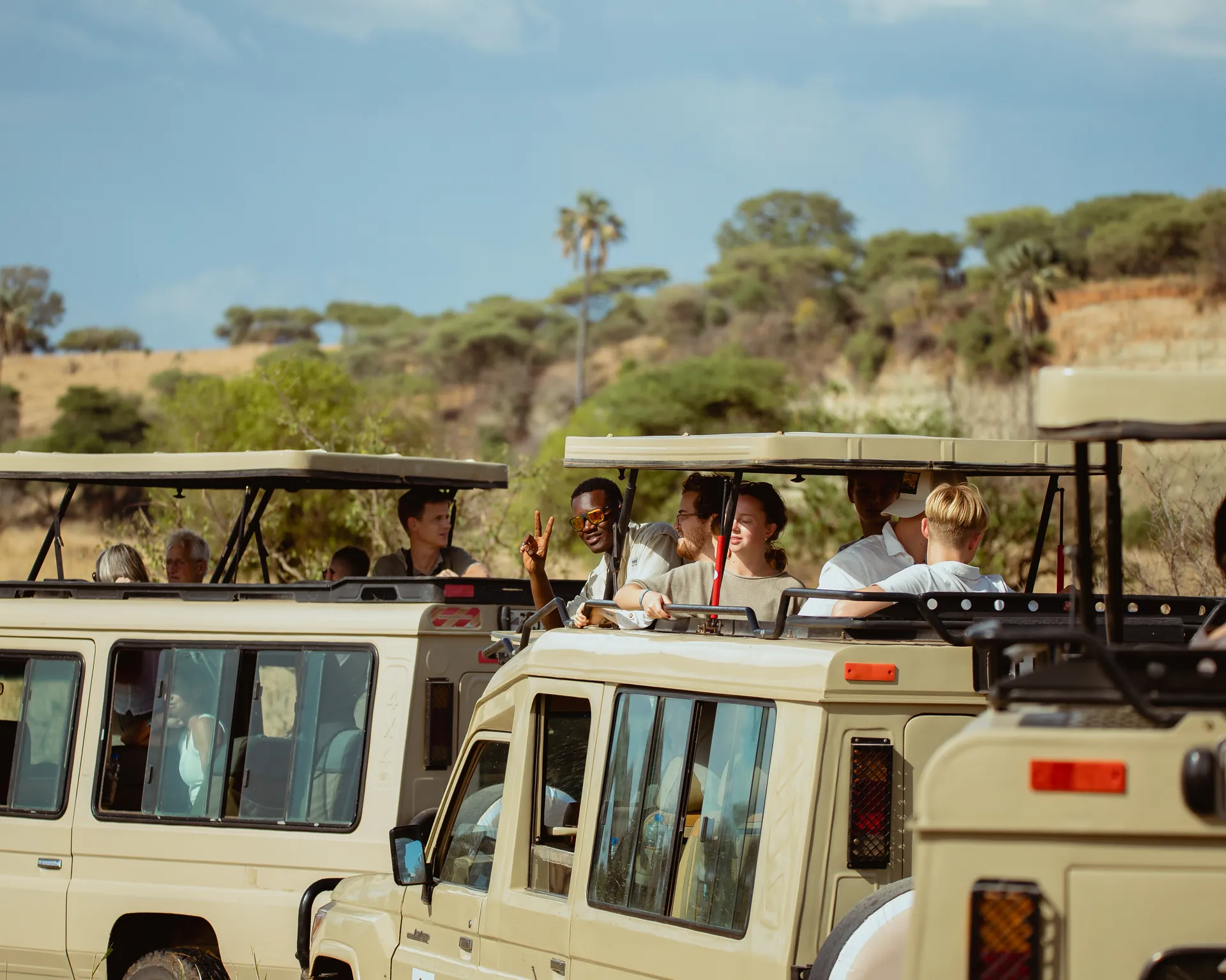 Wildlife in an East African safari landscape